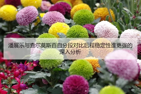 潘展乐与查尔莫斯百自分段对比后程稳定性谁更强的深入分析