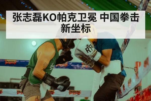 张志磊KO帕克卫冕 中国拳击新坐标